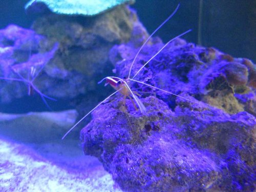 IMG_2243.JPG