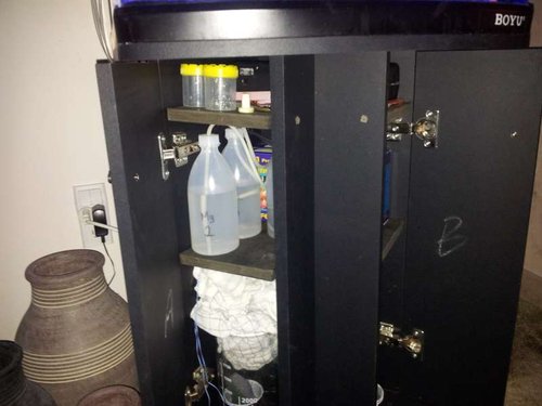 20130413_195150.jpg