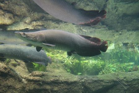 IMG_5449.JPG