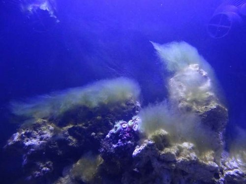 2013-04-17 20.21.06.jpg