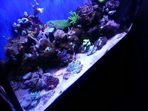 20130419_211638.jpg