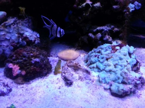 20130419_211554.jpg