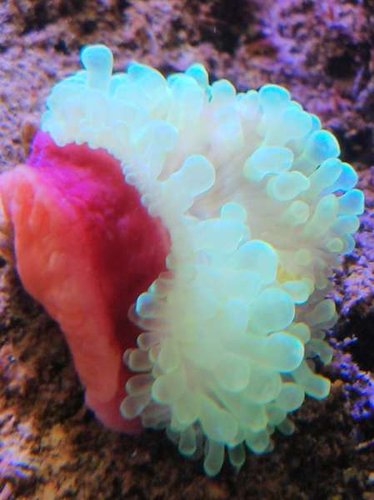 2013-04-22 08.35.09.jpg