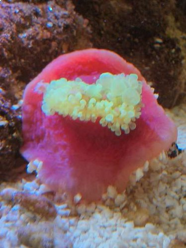 2013-04-22 13.55.01.jpg