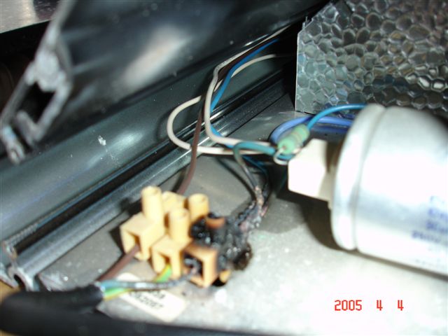 DSC00726.JPG
