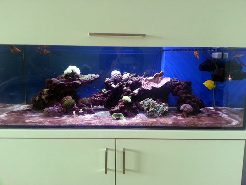 20130425_155451.jpg
