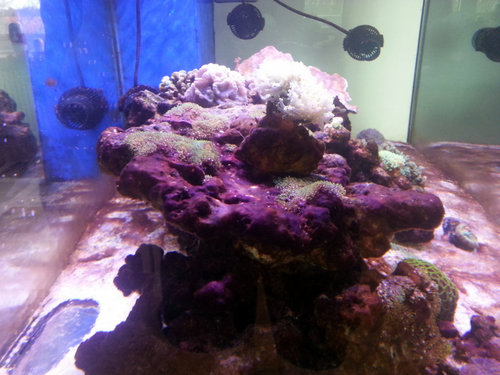20130425_155505.jpg