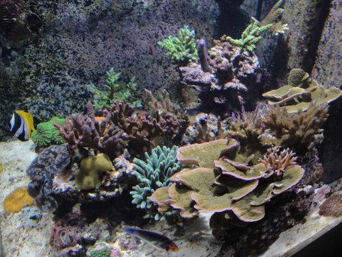 April 2013 066.JPG