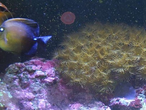 20130430_191317[1].jpg