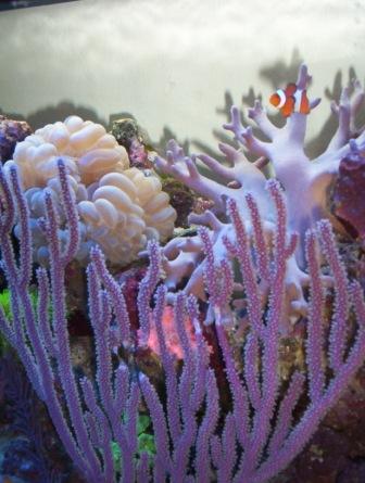 100_2644.jpg