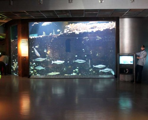 IMG_3503b.jpg