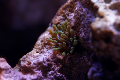 _MG_5608 (Custom).JPG