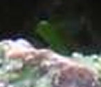 test21.jpg