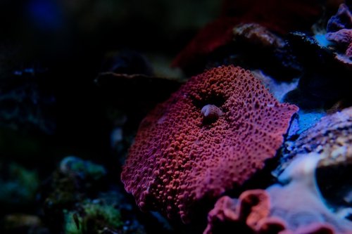 _MG_5707.jpg