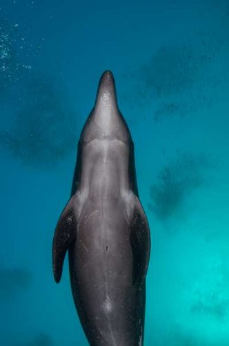 Socorro-4.jpg