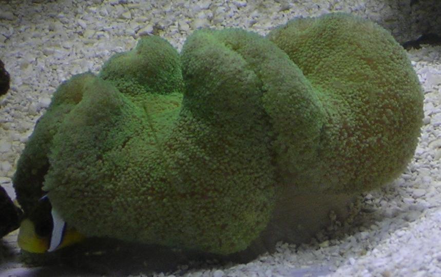 n3.JPG