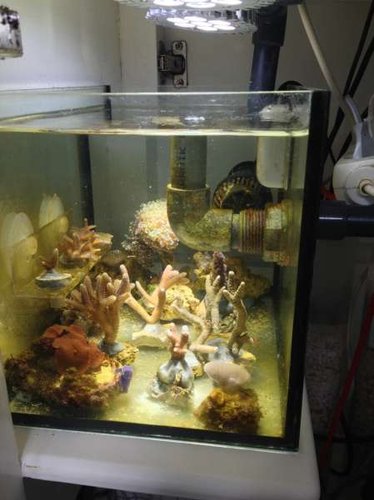 foto(28).JPG