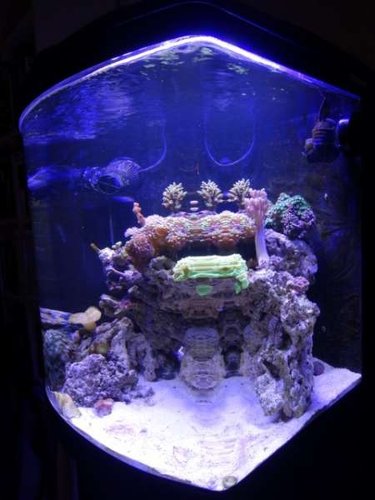 024 (Small).JPG