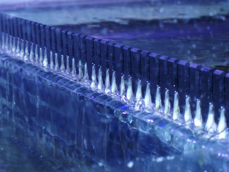 P4210020 (Medium).JPG