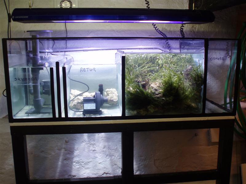 P4210023 (Medium).JPG