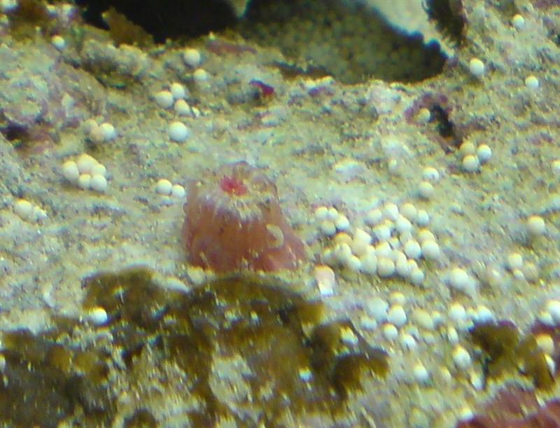 DSC00046 (Medium).JPG