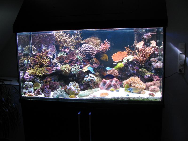 IMG_1286 (Medium).JPG