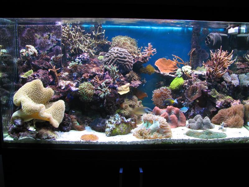 IMG_0785 (Medium).JPG