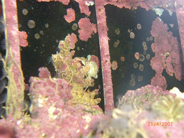 CIMG0991 (Small).JPG