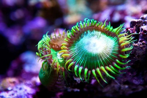Michaels akvarium (32 of 45).jpg