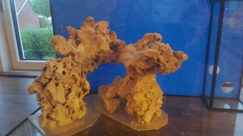 IMAG0469.jpg