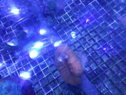 20130531_211450.jpg