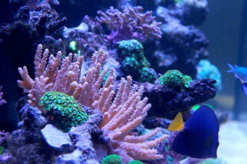 IMG_6700.JPG