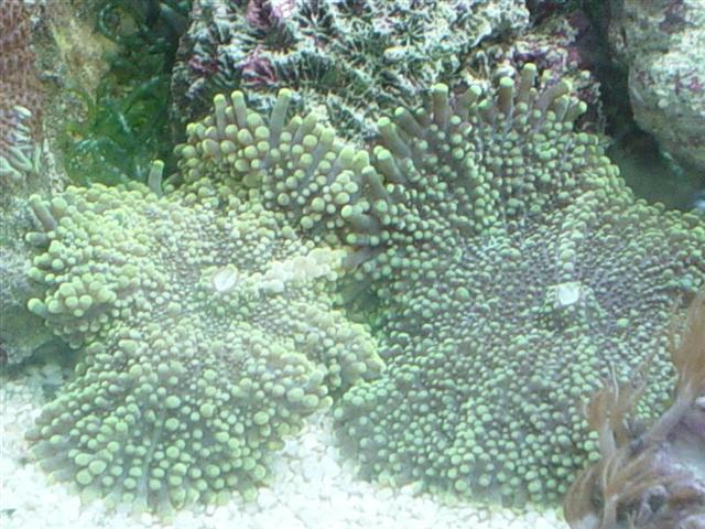 DSC00156 (Medium).JPG