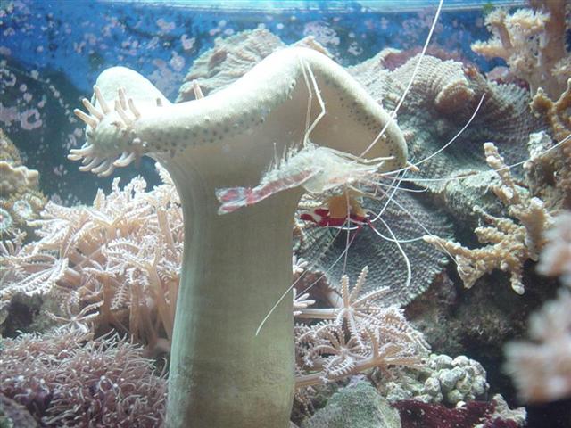 DSC00171 (Medium).JPG