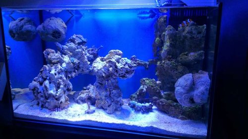IMAG0484 (1).jpg