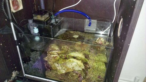 IMAG0481.jpg
