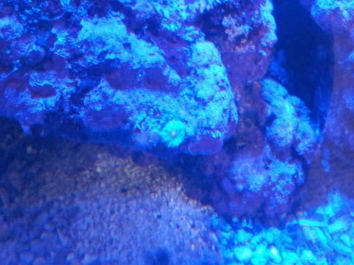 20130609_100741.jpg