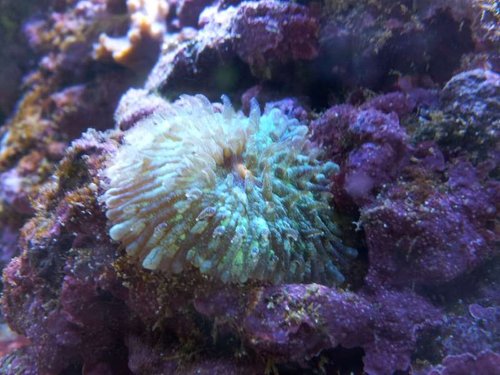 20130610_152326.jpg