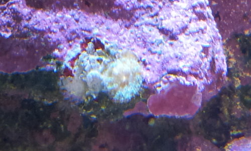 20130610_165959.jpg