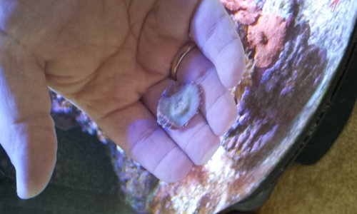 20130610_171354.jpg