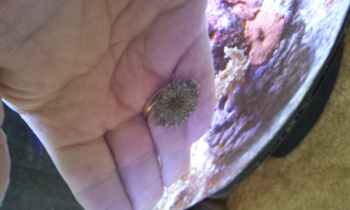 20130610_171402.jpg