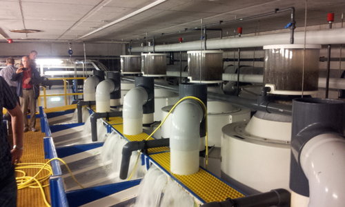 20130613_171255.jpg (277.5 KiB) Vist 29293 gange Skummere