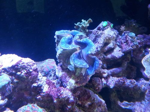20130525_200332.jpg