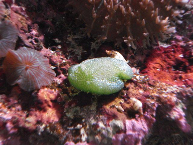 DSC00134 (Small).JPG