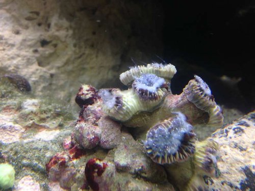 photo (7).jpg