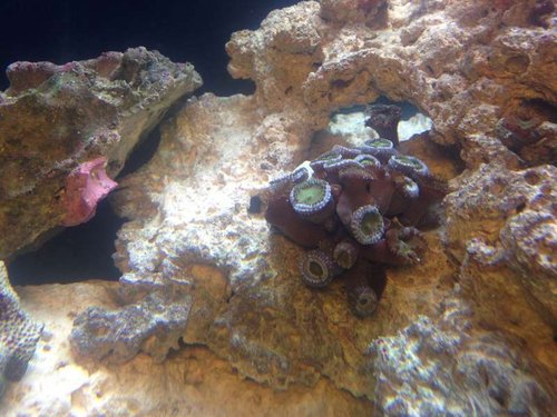 photo_1.jpg