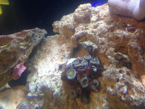 photo_2.jpg