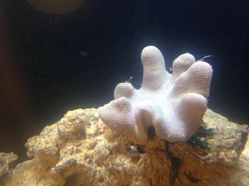 photo_3.jpg
