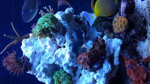 20130617_201456.jpg