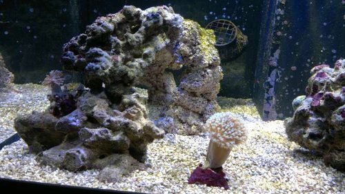 2013-06-18-2406.jpg (60.38 KiB) Vist 1262 gange Venstre side med den nye JJ-keramiksøjle set forfra som er ved at blive indkørt